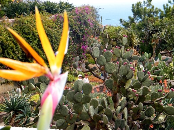 Madeira