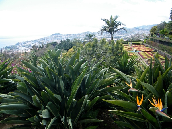 Madeira