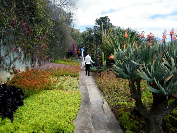 Madeira