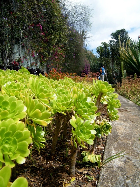 Madeira