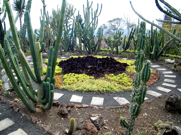 Madeira