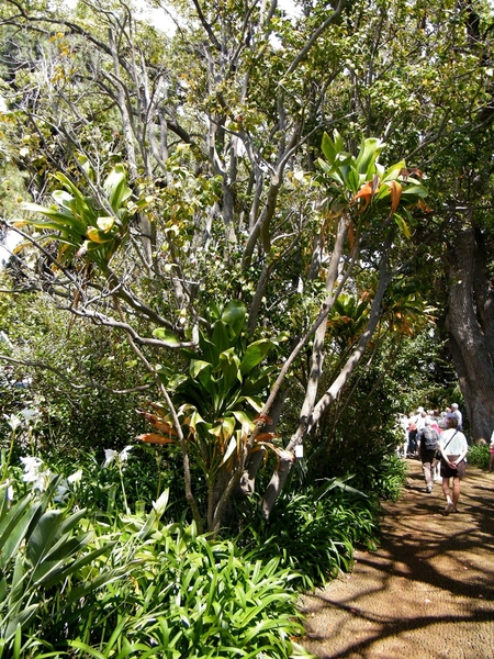 Madeira