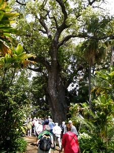 2014_04_22 Madeira 133