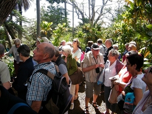 2014_04_22 Madeira 135