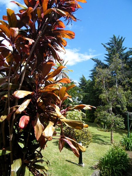 Madeira