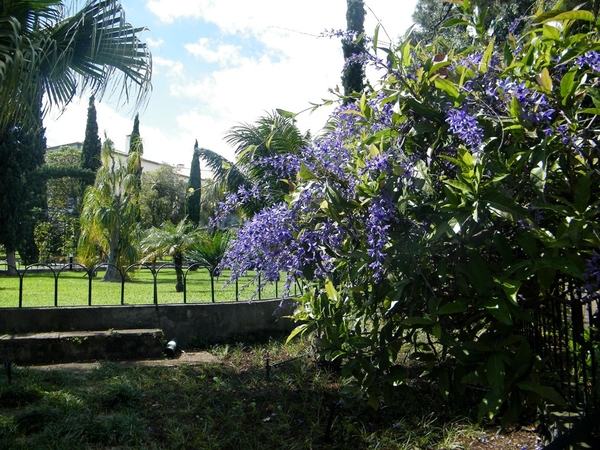 Madeira