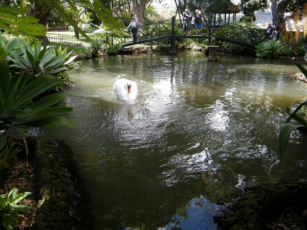 Madeira