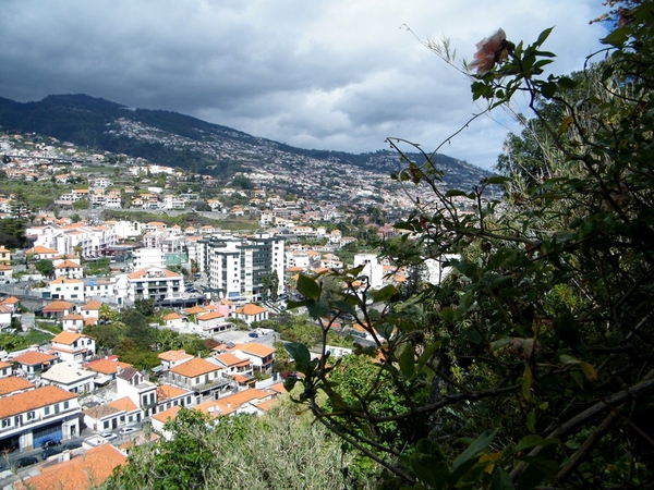 Madeira