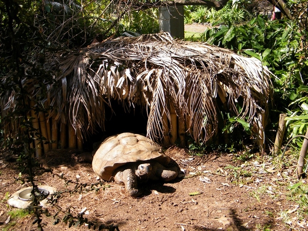 Madeira