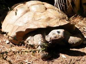 2014_04_22 Madeira 178