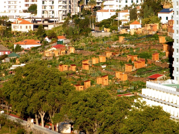 Madeira