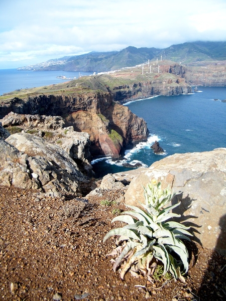 Madeira