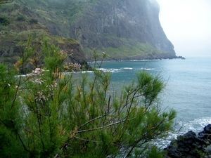 2014_04_23 Madeira 049