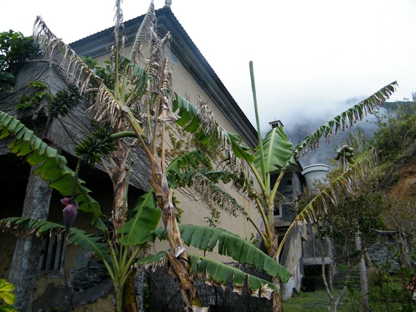 Madeira