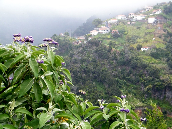 Madeira