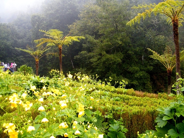 Madeira