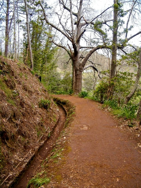 Madeira