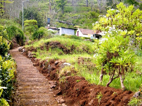 Madeira