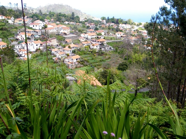 Madeira