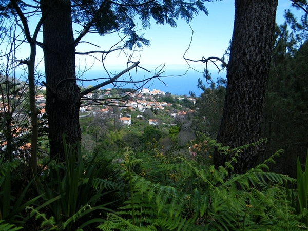 Madeira