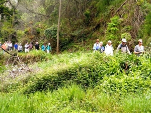 2014_04_24 Madeira 192