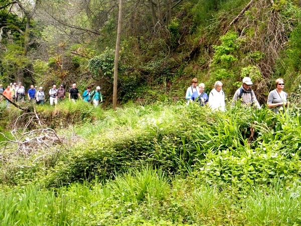 Madeira