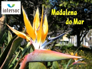 2014_04_25 Madeira 035A