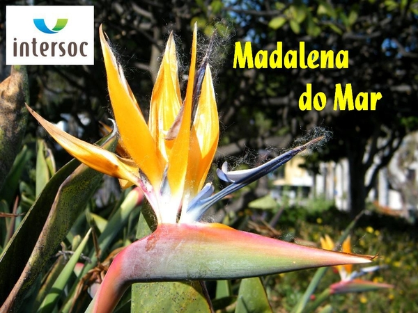 Madeira