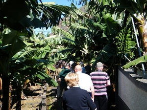 2014_04_25 Madeira 039