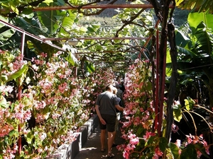 2014_04_25 Madeira 042
