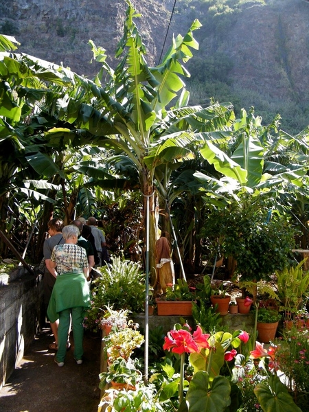 Madeira