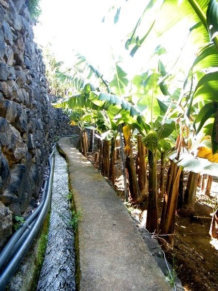 Madeira