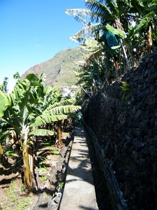 2014_04_25 Madeira 049