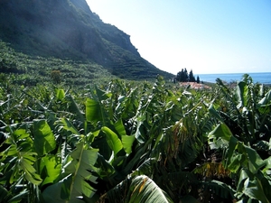 2014_04_25 Madeira 050