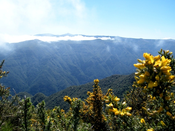 Madeira