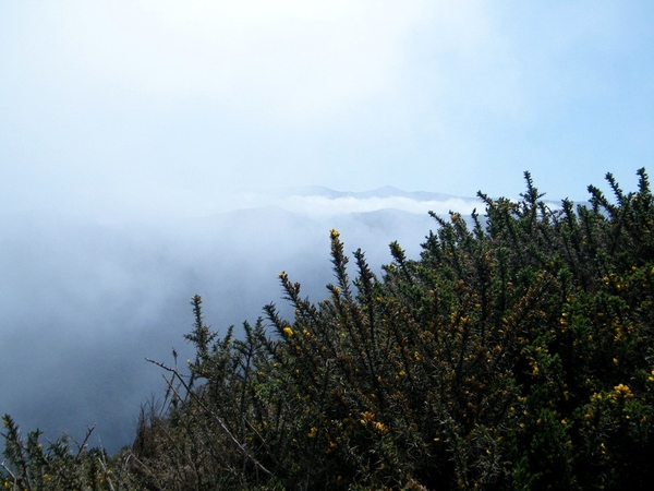 Madeira