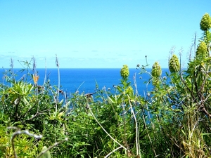 2014_04_25 Madeira 095