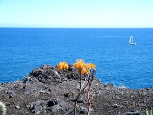 2014_04_26 Madeira 099