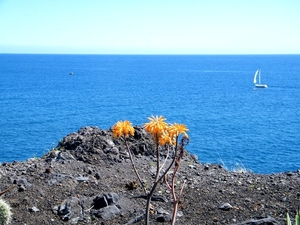 2014_04_26 Madeira 099