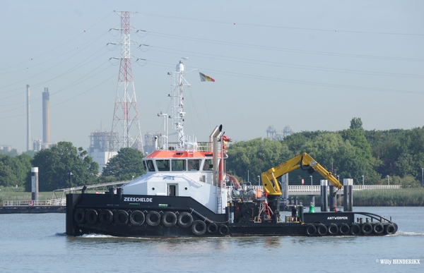 'ZEESCHELDE' LIEFKENSHOEK 20150806