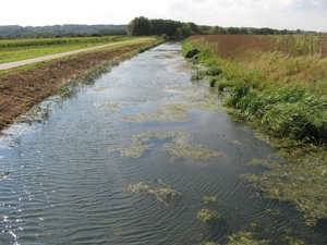 Staande op het bruggetje