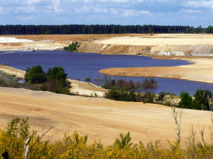 P1000859