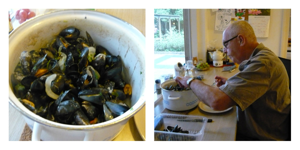 collage 2014-08-25