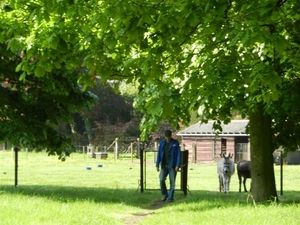 20140504.Heusden.GeschiedenisGemeentehuizen 021 (Medium)