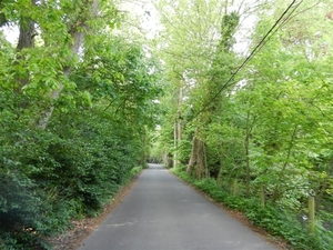 20140504.Heusden.GeschiedenisGemeentehuizen 035 (Medium)