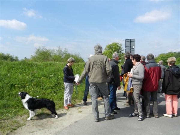 20140504.Heusden.GeschiedenisGemeentehuizen 041 (Medium)