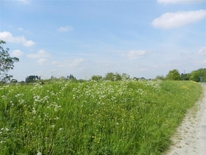 20140504.Heusden.GeschiedenisGemeentehuizen 043 (Medium)