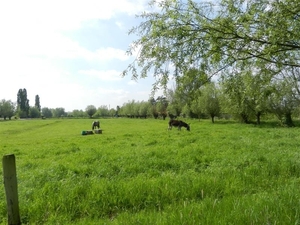 20140504.Heusden.GeschiedenisGemeentehuizen 046 (Medium)