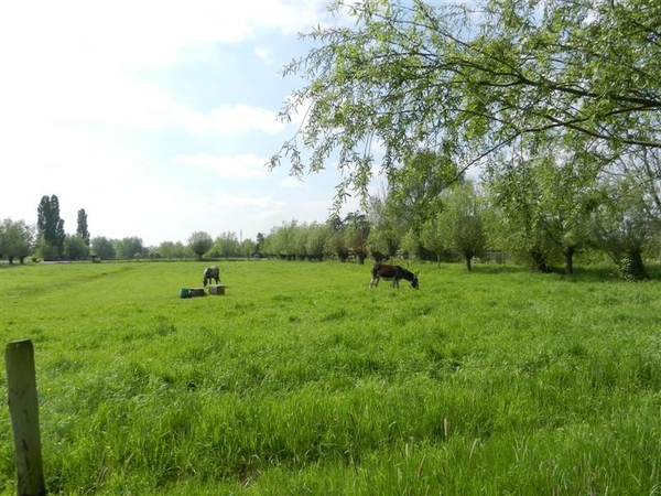 20140504.Heusden.GeschiedenisGemeentehuizen 046 (Medium)
