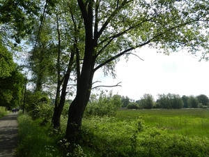 20140504.Heusden.GeschiedenisGemeentehuizen 048 (Medium)